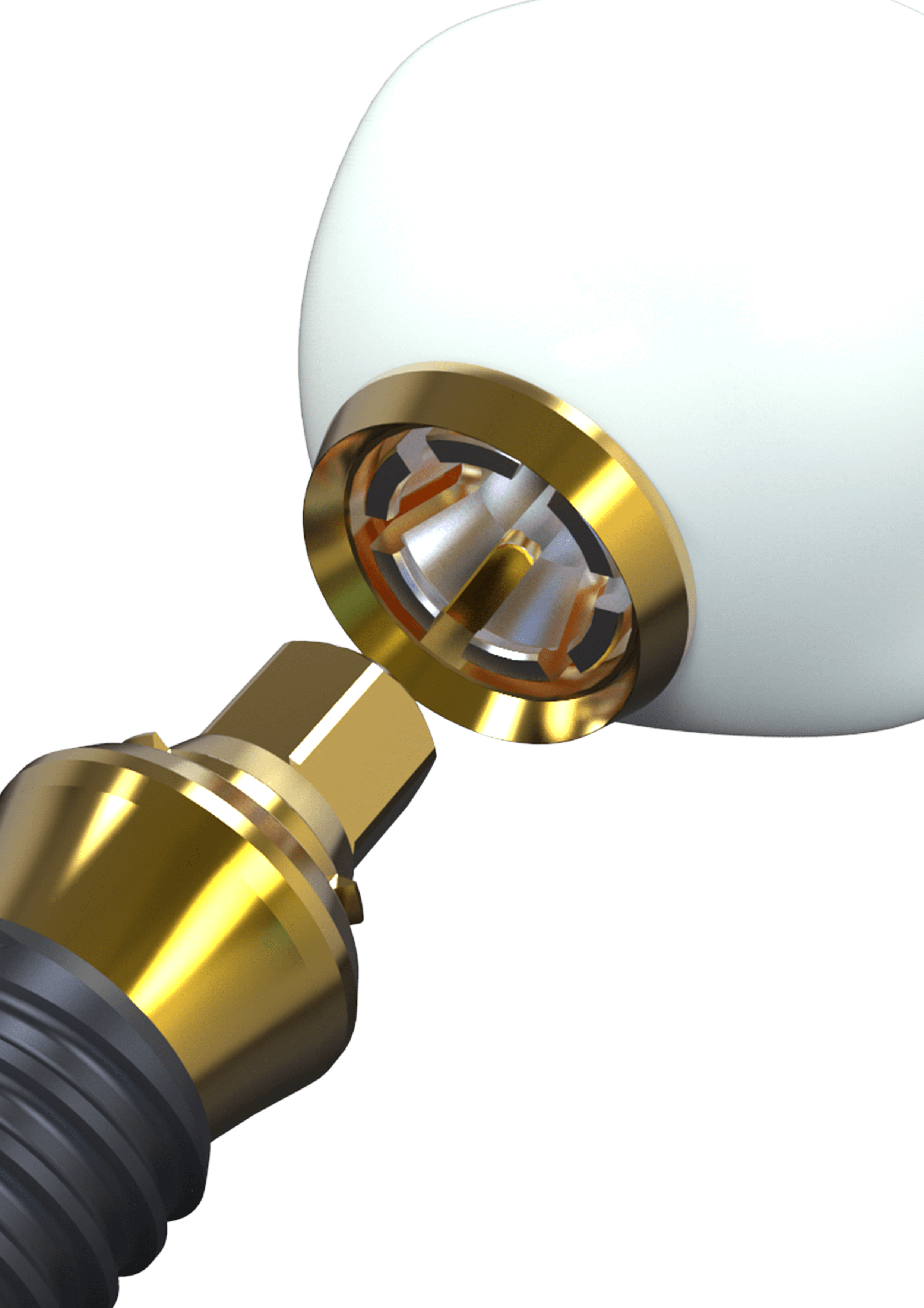 CLICK FIT_FIXTURE DESIGN - ZEROS IMPLANT